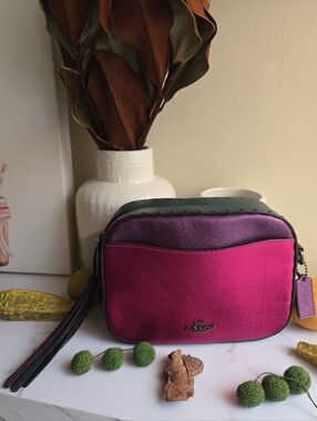 Coach | Bags | Coach Dakota Whiplash Crossbody | Poshmark